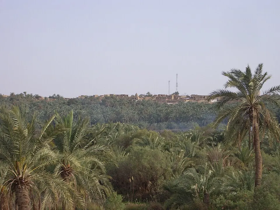 Bahariya Oasis