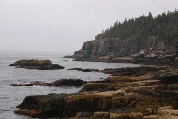Acadia