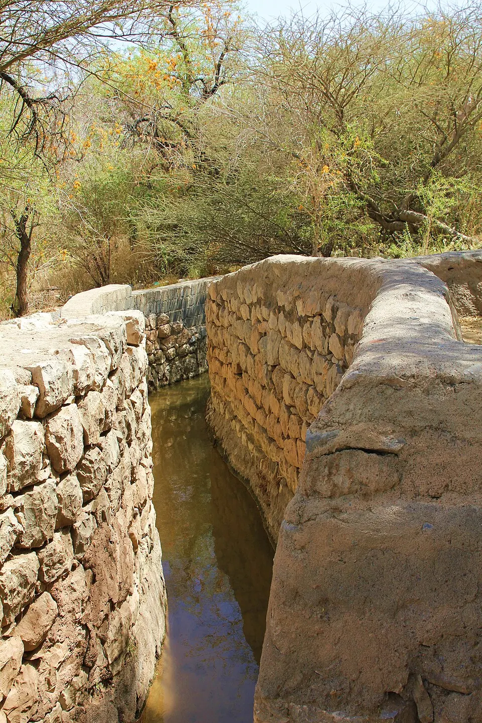 Aflaj Irrigation Systems of Oman