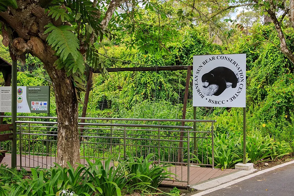 Bornean Sun Bear Conservation Centre