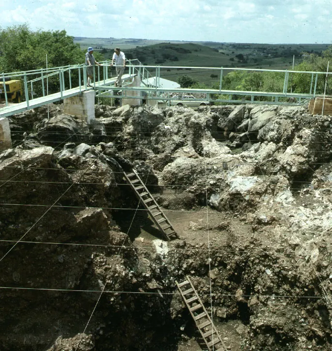 Cradle of Humankind