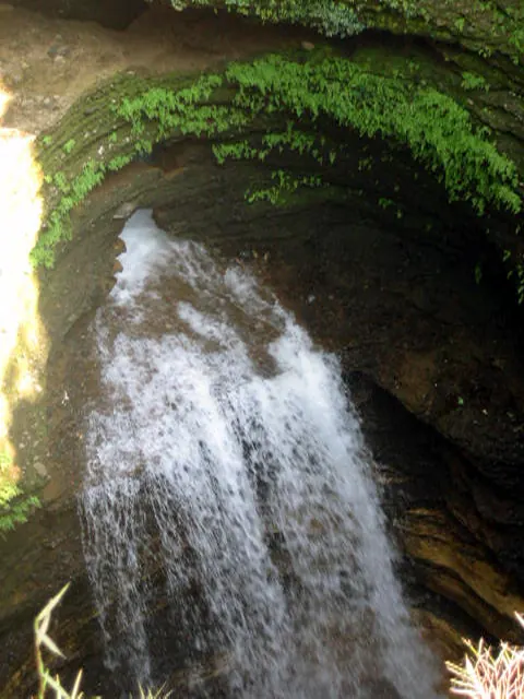 Davis Falls
