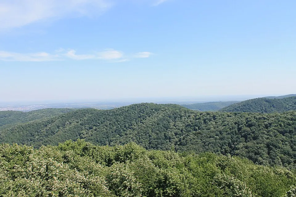 Fruška Gora