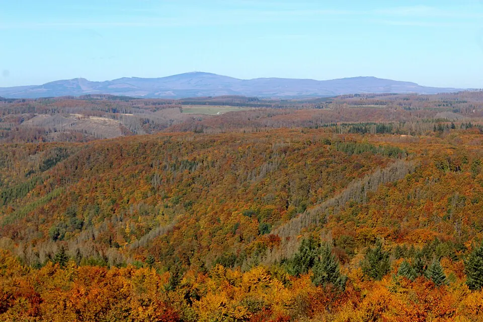 Harz