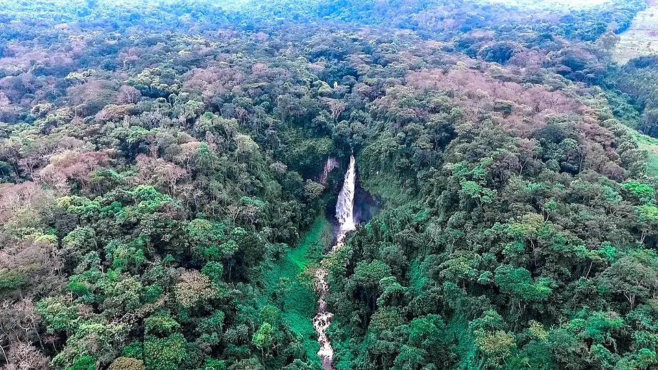 Kahuzi-Biéga National Park