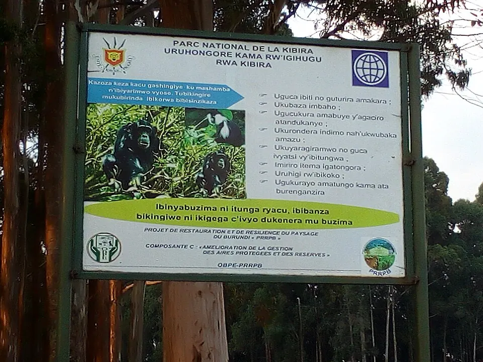 Kibira National Park