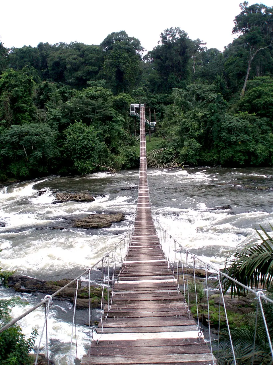 Korup National Park