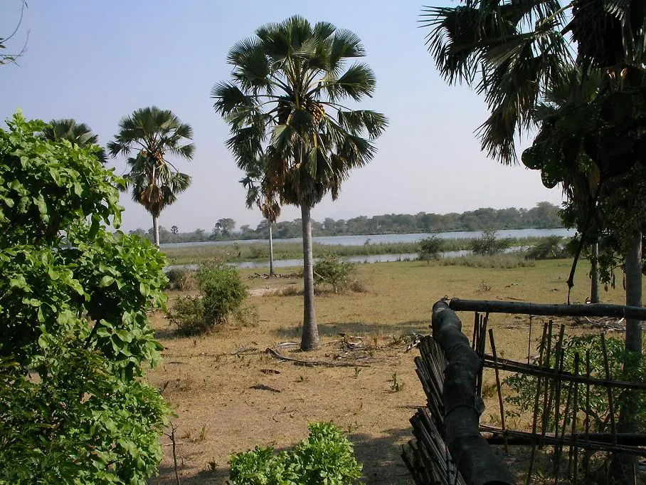Liwonde National Park