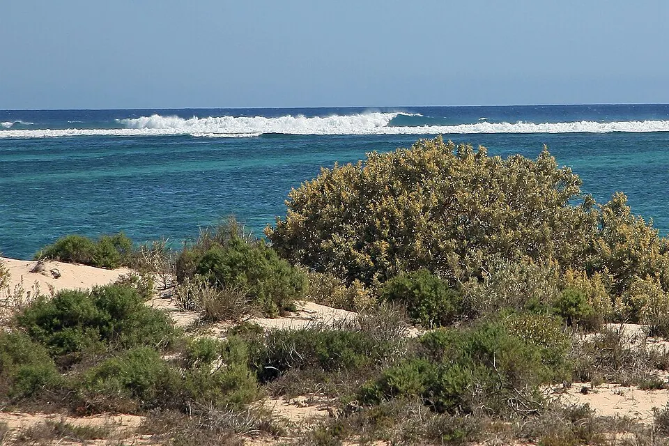 Ningaloo Coast