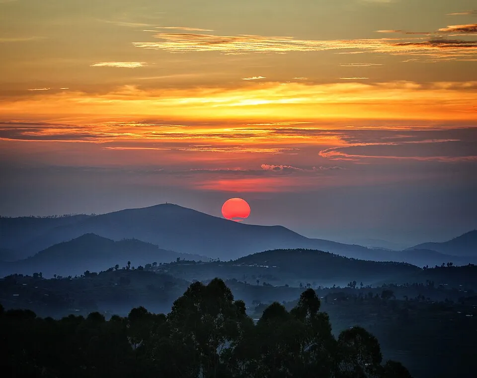Nyungwe Forest