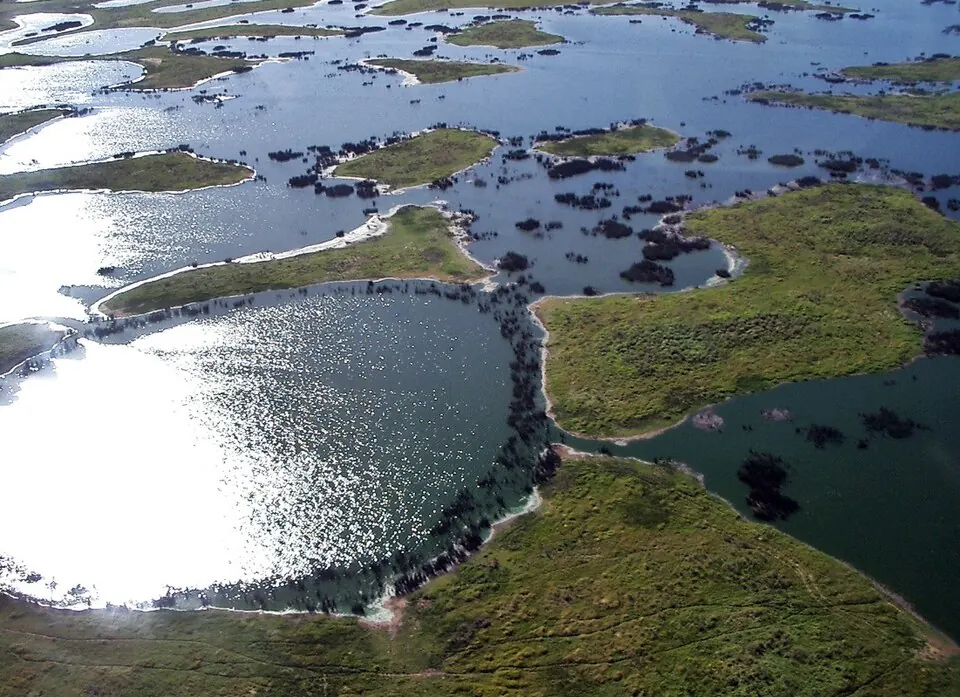 Pantanal