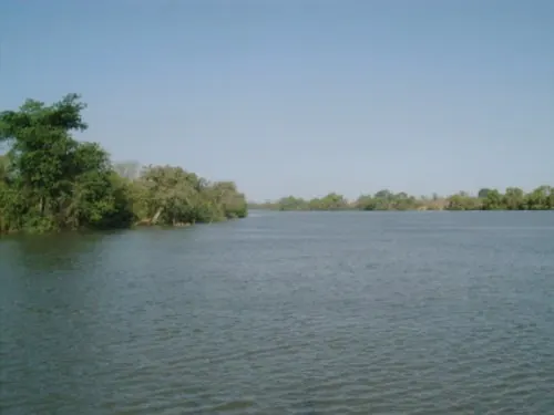 River Gambia National Park
