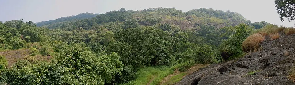 Sanjay Gandhi National Park