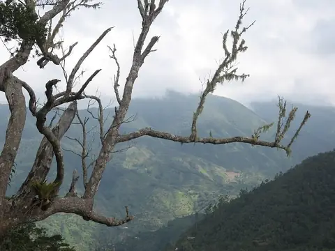 Jamaica
