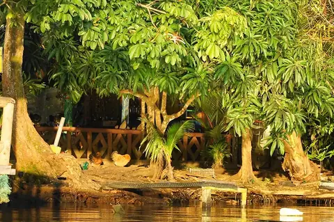 Corcovado National Park