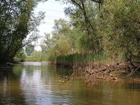De Biesbosch National Park