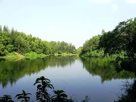 Foy's Lake