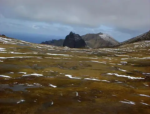 Gough and Inaccessible Islands