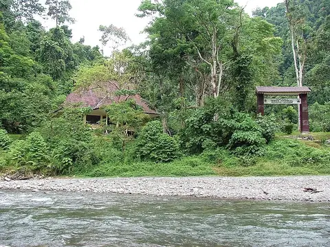 Gunung Leuser National Park