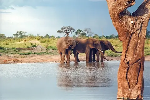 Hwange National Park