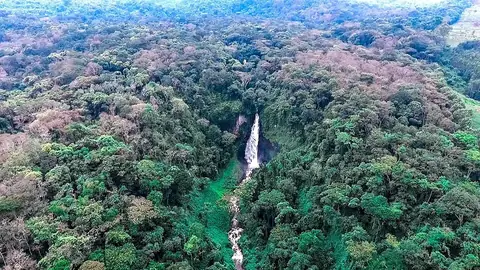 Kahuzi-Biéga National Park