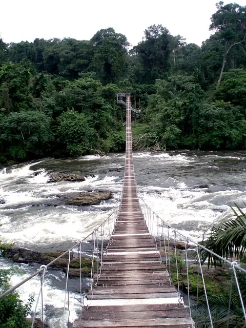 Korup National Park