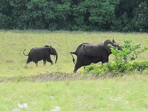 Gabon