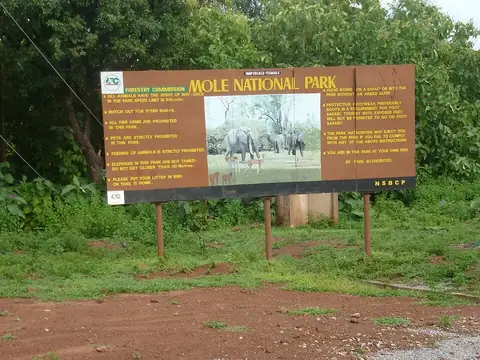 Mole National Park