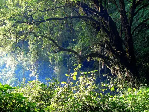 Mount Elgon National Park