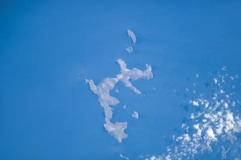 New Island