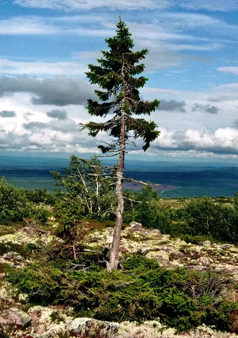 Sweden
