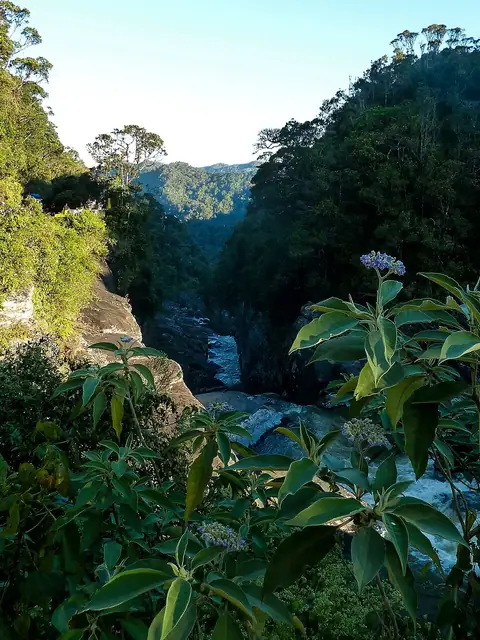 Ranomafana National Park