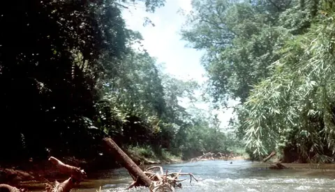Río Plátano Biosphere Reserve