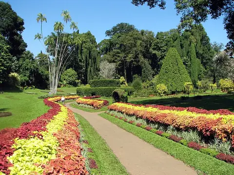 Royal Botanic Gardens, Peradeniya