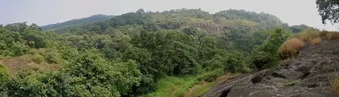 Sanjay Gandhi National Park