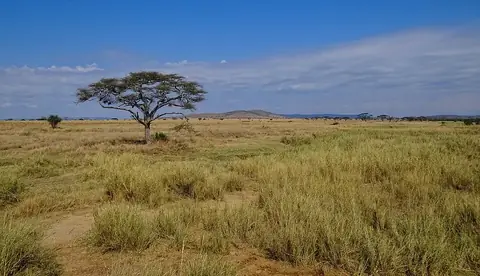 Serengeti National Park