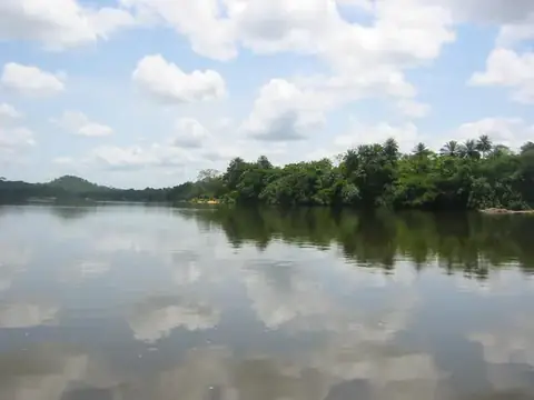 Tiwai Island