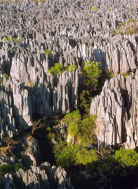 Tsingy de Bemaraha Strict Nature Reserve
