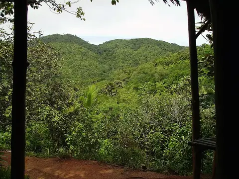 Vallée de Mai