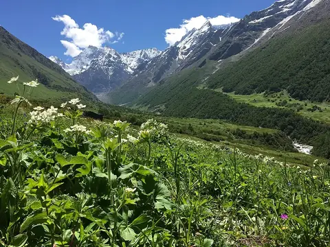 Valley of Flowers National Park