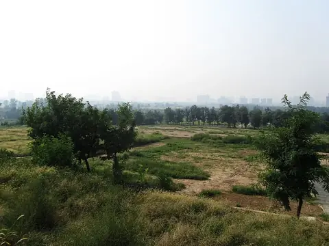 Weiyang Palace